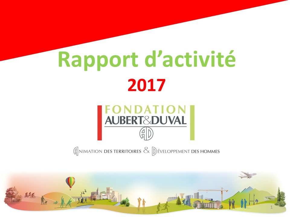 Fichier Rapport d’activité 2017